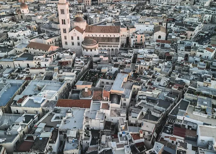 Apartment Doctor House - Policlinico *